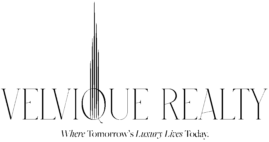 velviqui-logo