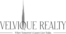Velvique logo