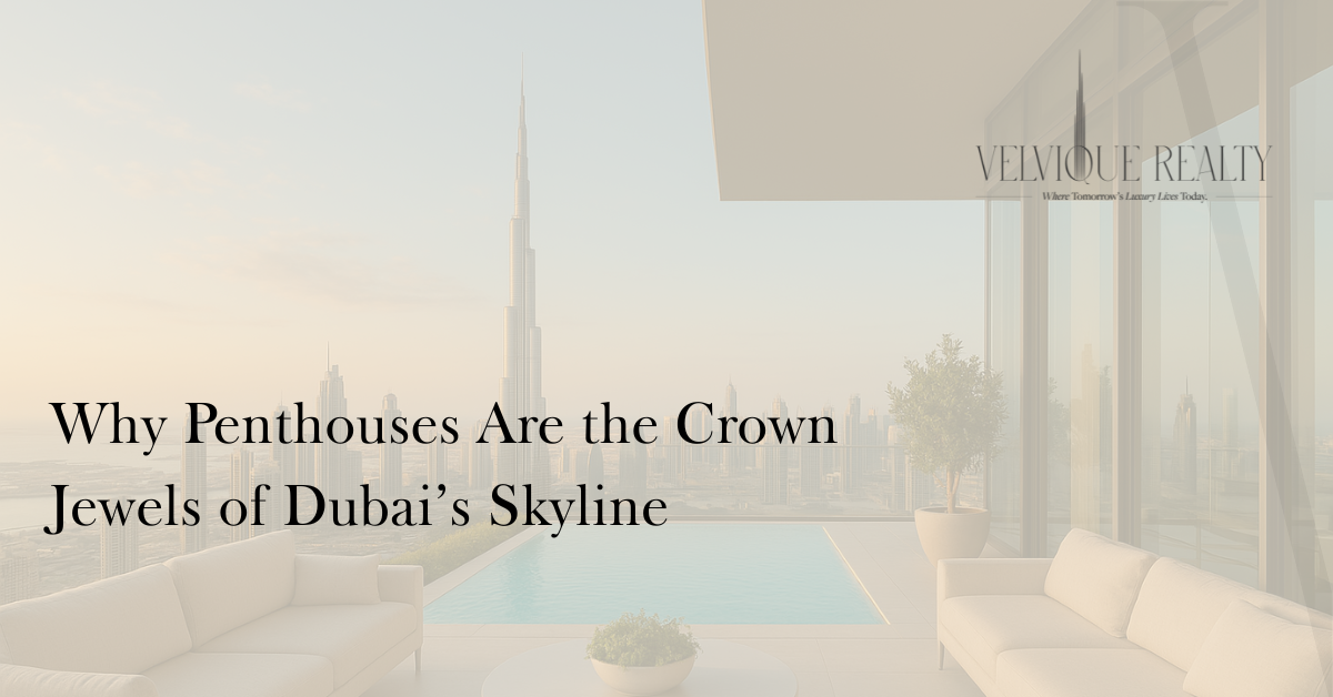 Why Penthouses Are the Crown Jewels of Dubai’s Skyline